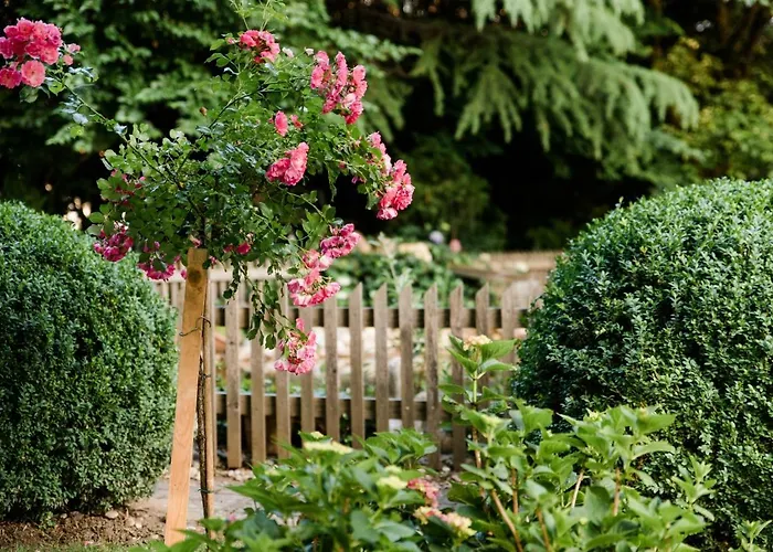 St. Hubertushof 3* باد غليشنبرج